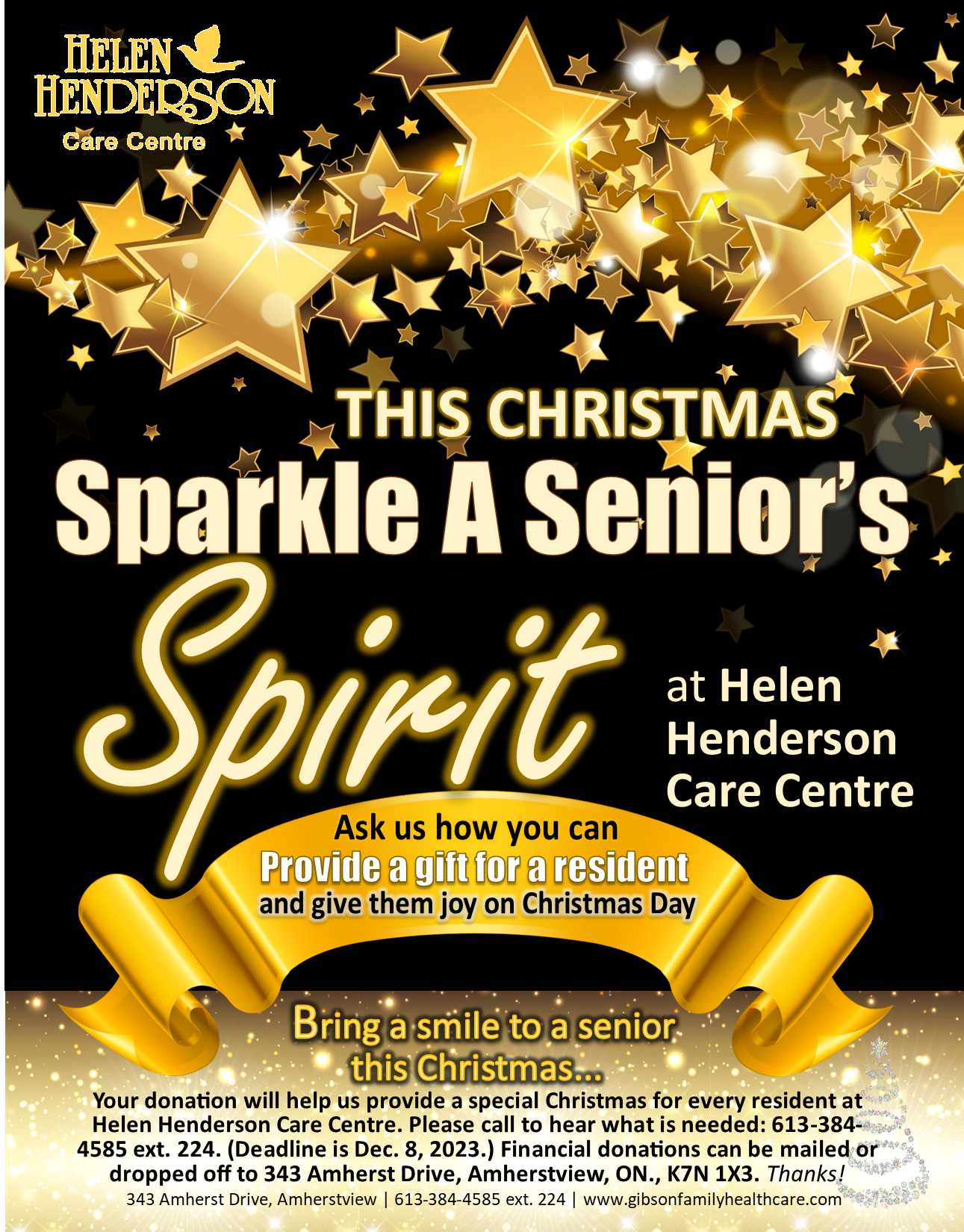 Sparkle a Seniors Spirit HHCC 2023 NEW